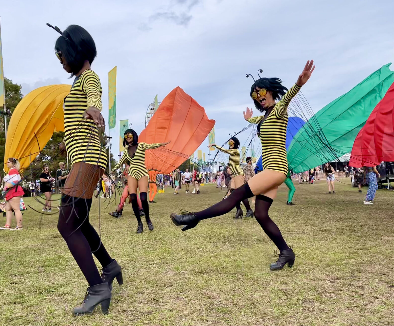 The immersive world of EDC (Cutline help)